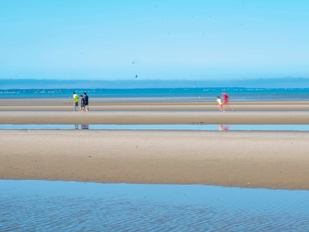 ACEs Connection Survey Results: “A Pattern of Remarkable Strength”